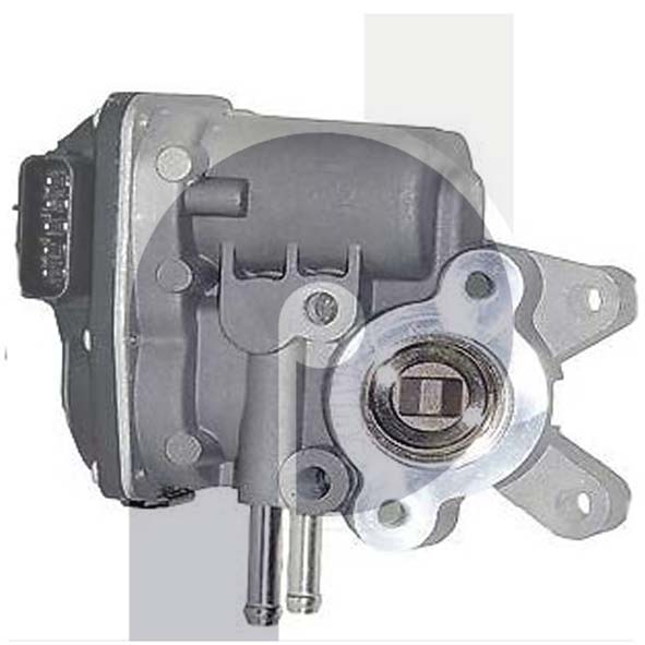 Exhaust Gas Recirculation Valve (EGR Valve) 